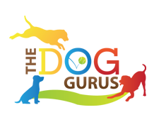 doggurus